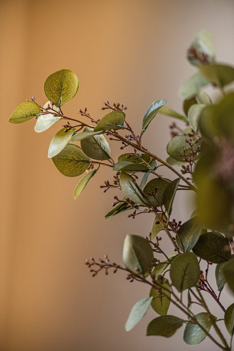 33 Inch Green Budding Eucalyptus Stem