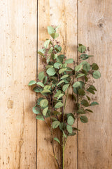 33 Inch Green Budding Eucalyptus Stem