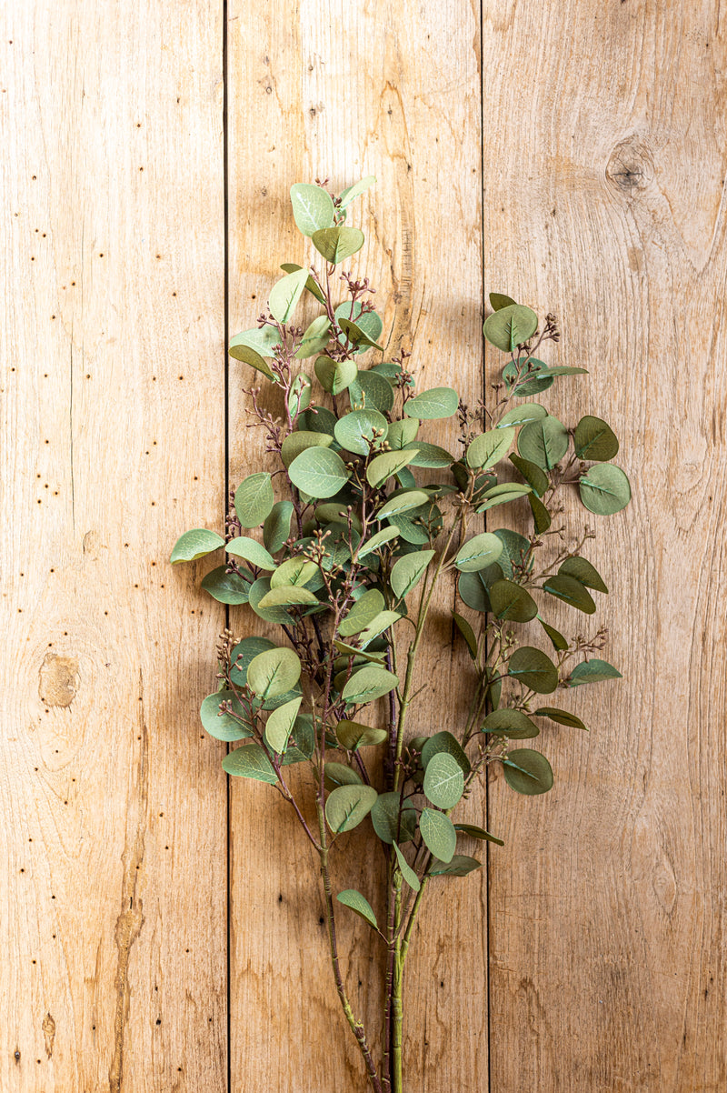 33 Inch Green Budding Eucalyptus Stem