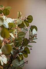 33 Inch Green Budding Eucalyptus Stem