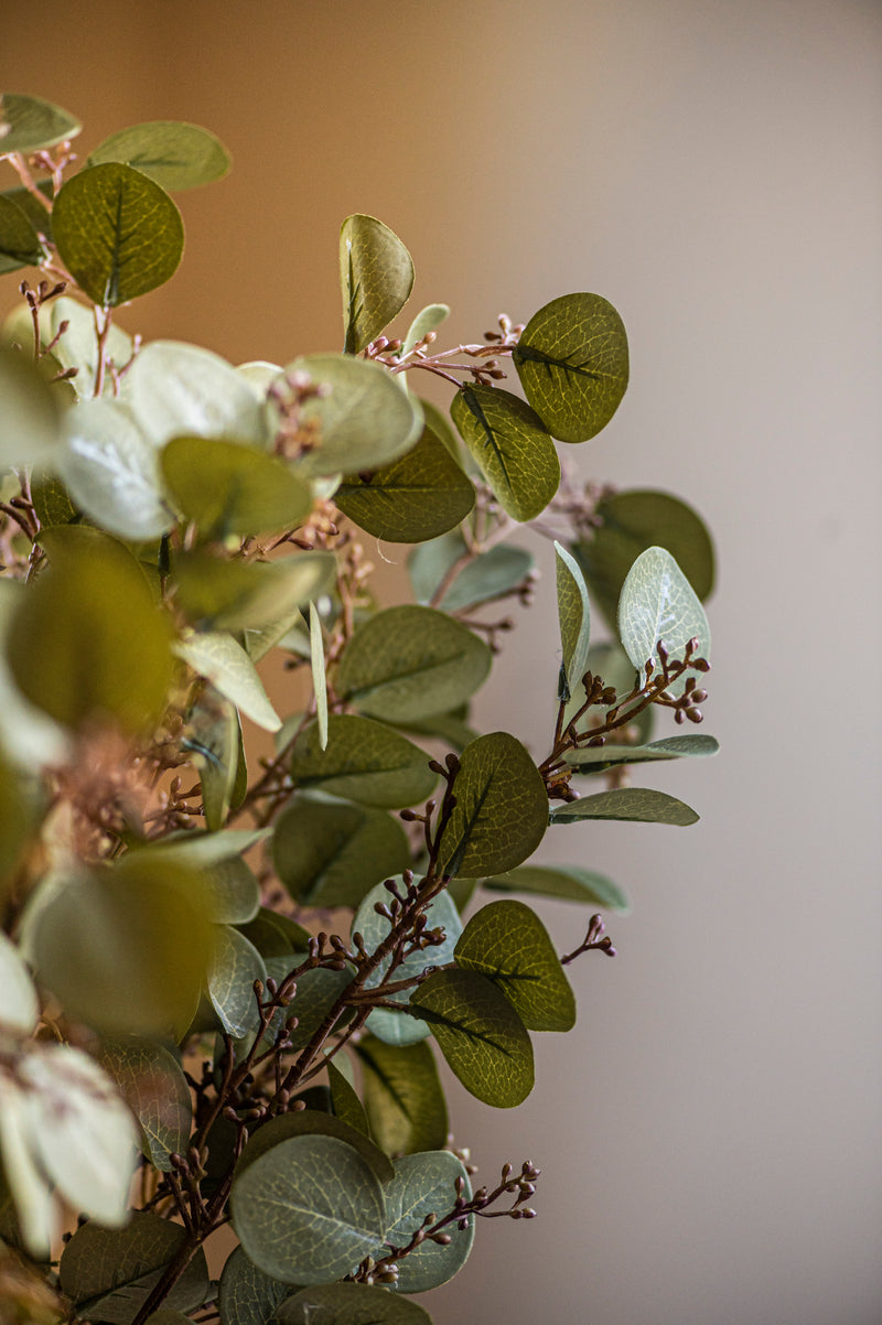 33 Inch Green Budding Eucalyptus Stem