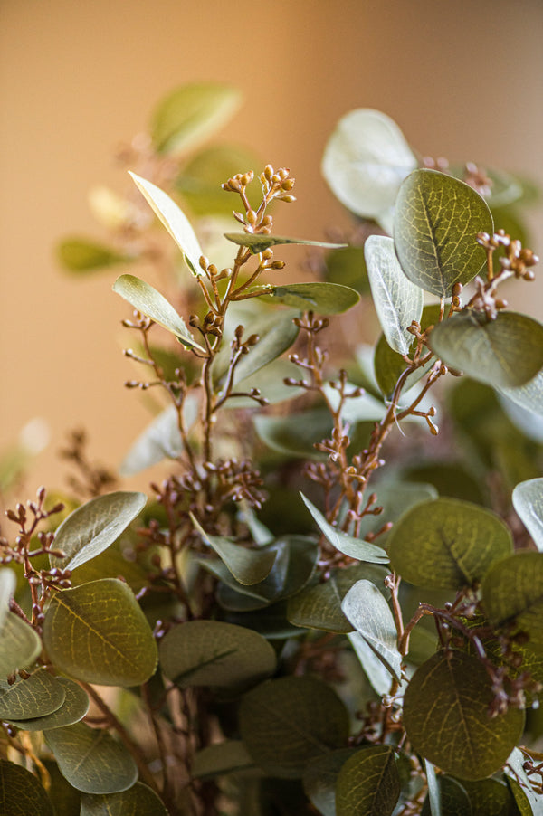 33 Inch Green Budding Eucalyptus Stem