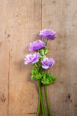 20.5"  Purple Real Touch Buttercup Wildflower