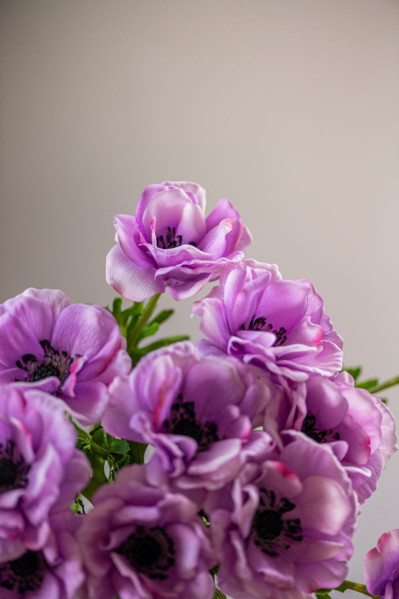 20.5"  Purple Real Touch Buttercup Wildflower