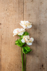 20.5" Yellow Real Touch Buttercup Wildflower