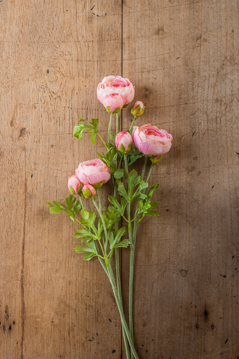 23" Light Pink Real Touch 3 Head Ranunculus Stem