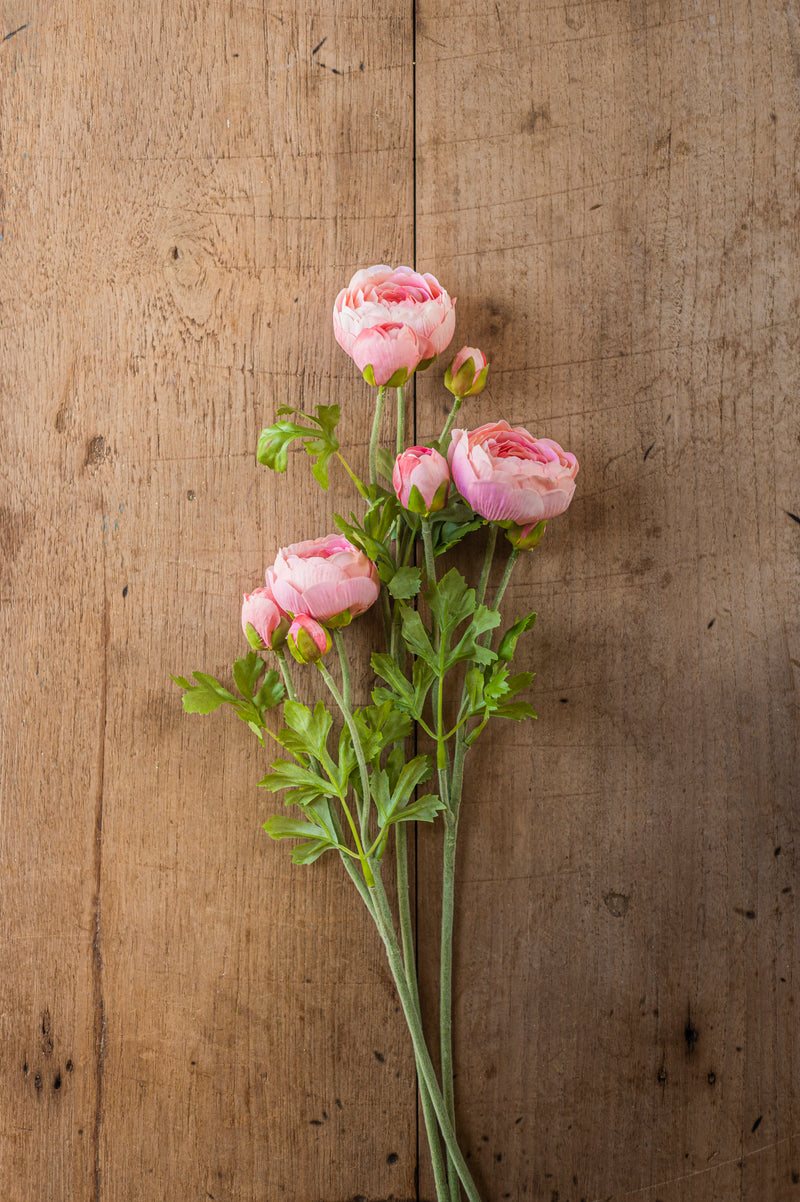 23" Light Pink Real Touch 3 Head Ranunculus Stem