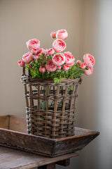 23" Light Pink Real Touch 3 Head Ranunculus Stem