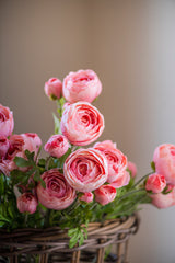 23" Light Pink Real Touch 3 Head Ranunculus Stem