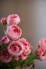 23" Light Pink Real Touch 3 Head Ranunculus Stem
