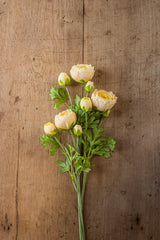 21" Yellow Real Touch 3 Head Ranunculus Stem