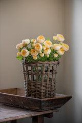 21" Yellow Real Touch 3 Head Ranunculus Stem