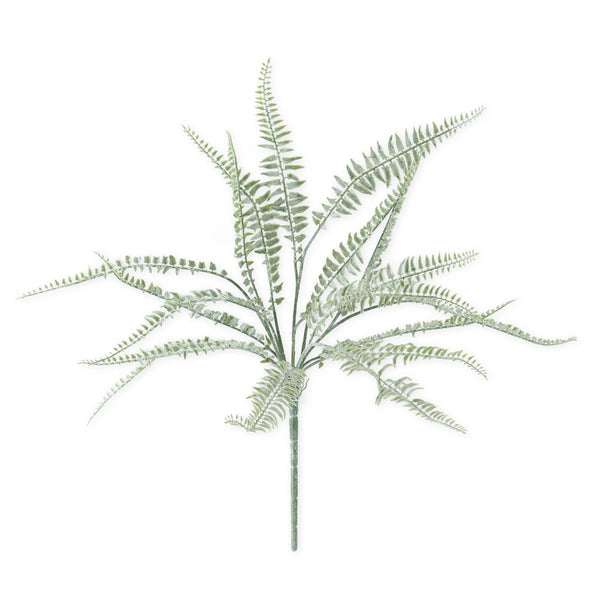 20 Inch Powdered Fern Bush