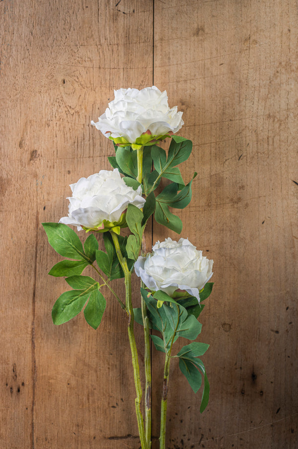 27" White Peony Stem