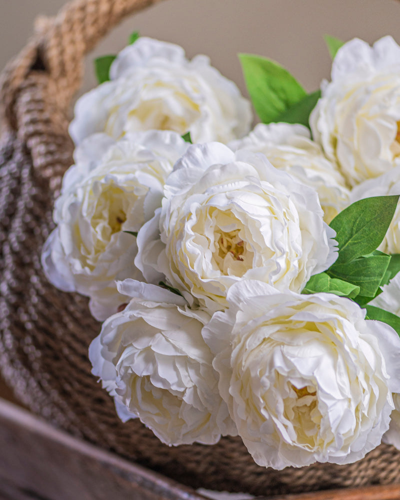 27" White Peony Stem
