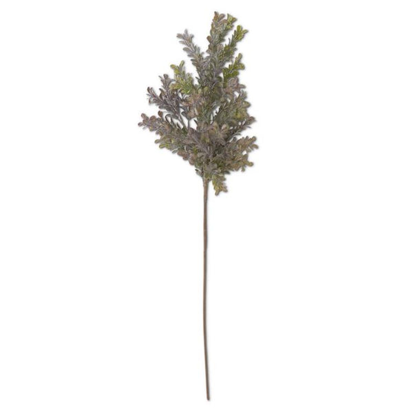 29.5 Inch Powdered Green & Purple Boxwood Stem