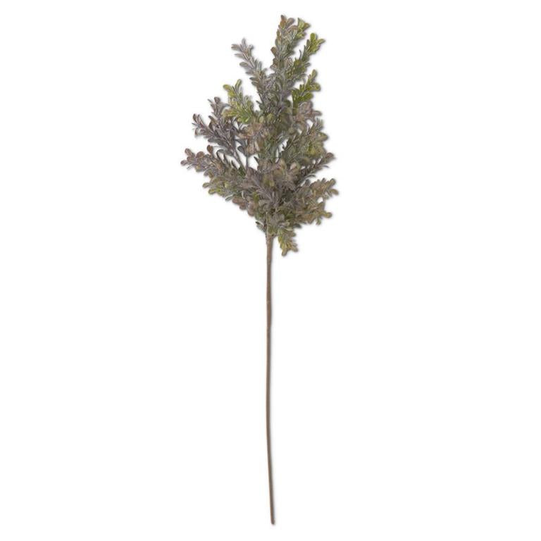 29.5 Inch Powdered Green & Purple Boxwood Stem