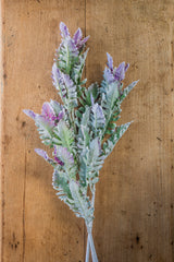 30.5" Soft Green w/Purple Tips Dusty Miller Stem