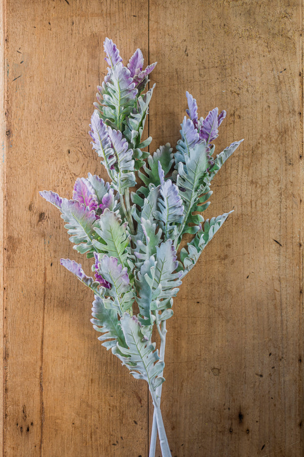 30.5" Soft Green w/Purple Tips Dusty Miller Stem
