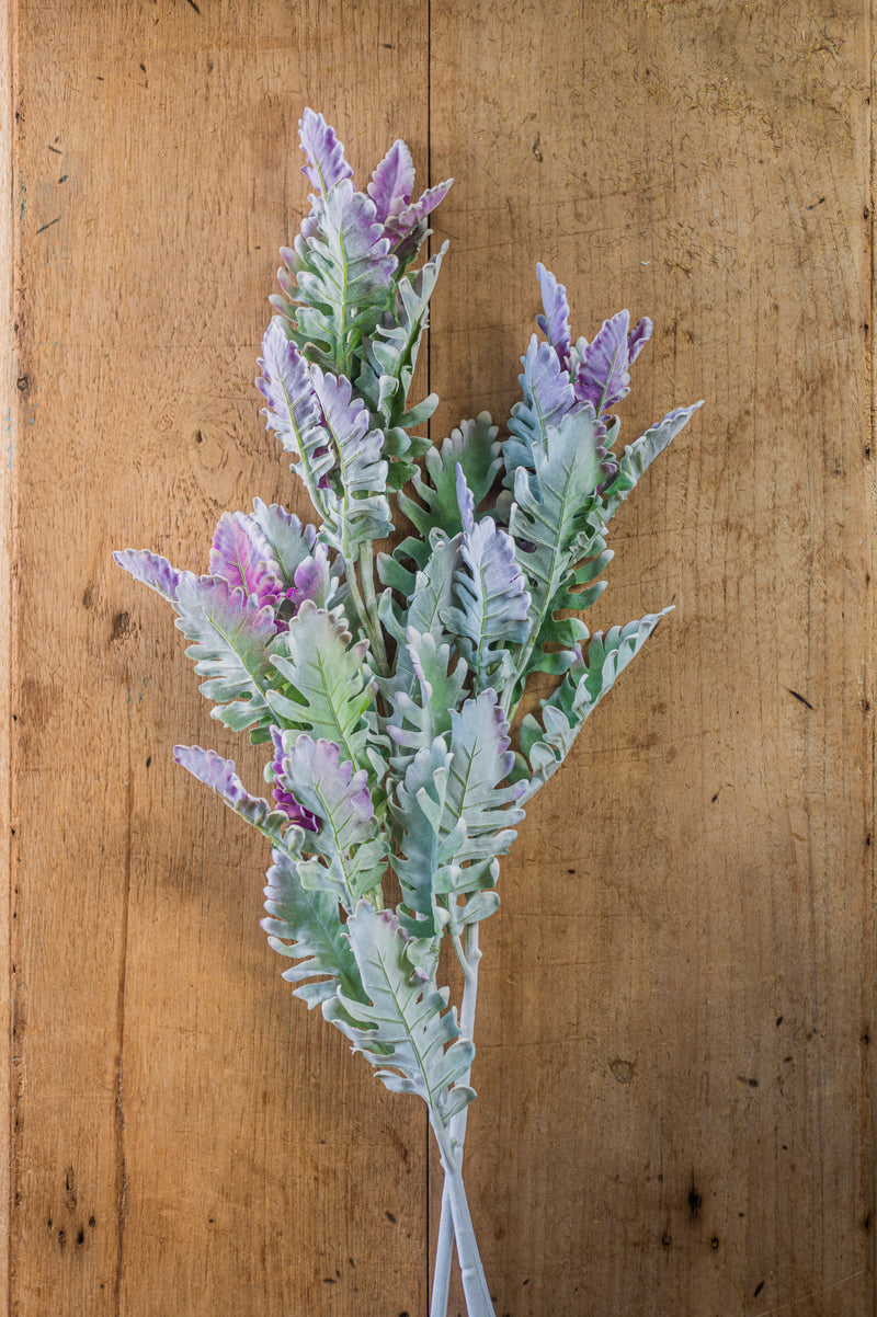 30.5" Soft Green w/Purple Tips Dusty Miller Stem