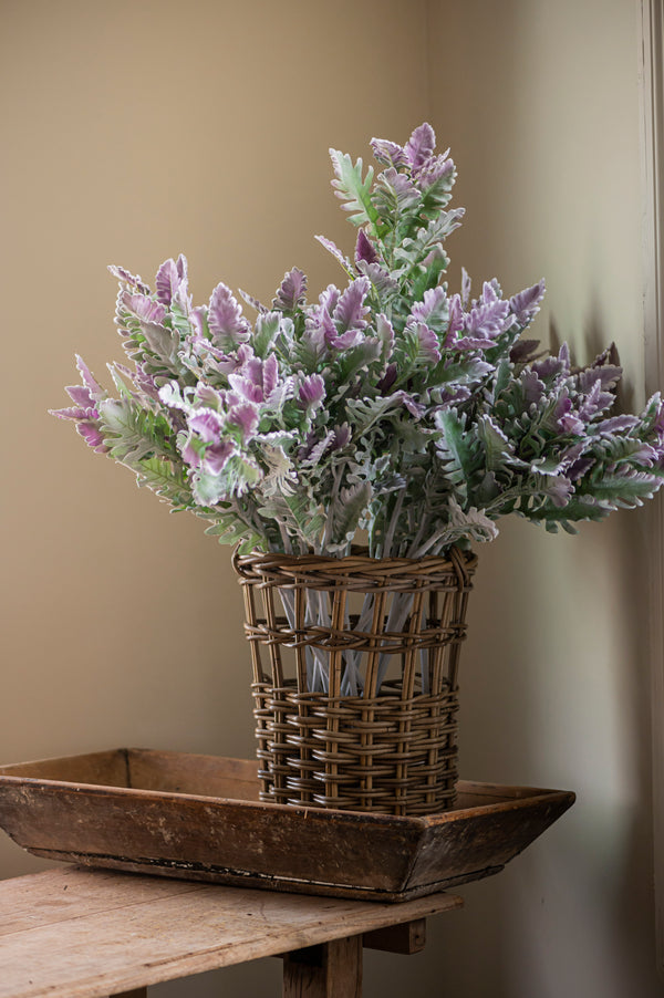 30.5" Soft Green w/Purple Tips Dusty Miller Stem