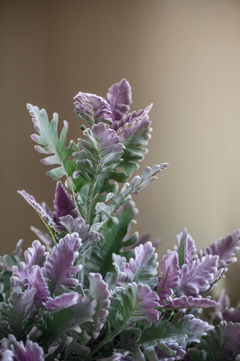 30.5" Soft Green w/Purple Tips Dusty Miller Stem