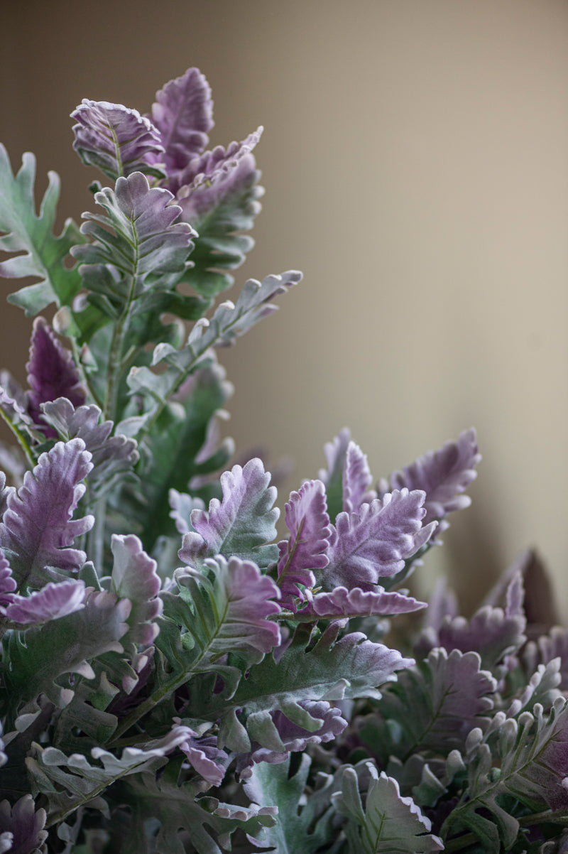 30.5" Soft Green w/Purple Tips Dusty Miller Stem