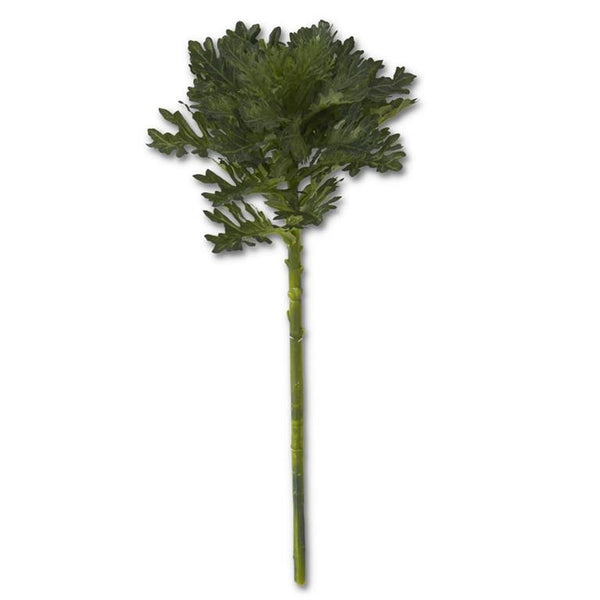 19" Green Ornamental Cabbage Stem