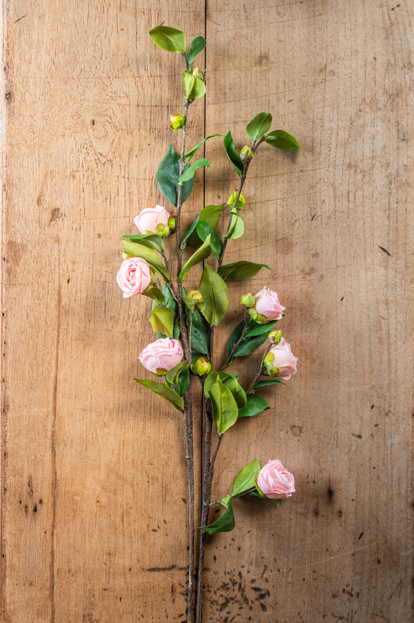 30" Pink Camellia Stem