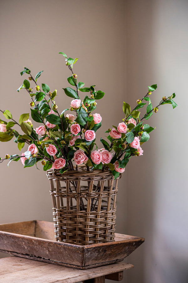 30" Pink Camellia Stem