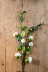 30" White Camellia Stem