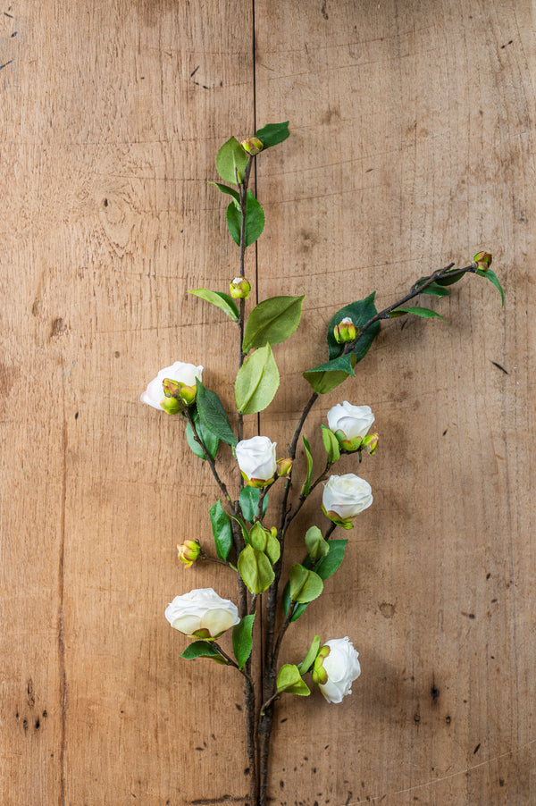 30" White Camellia Stem