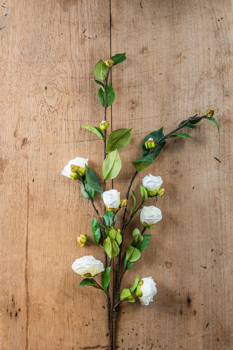 30" White Camellia Stem
