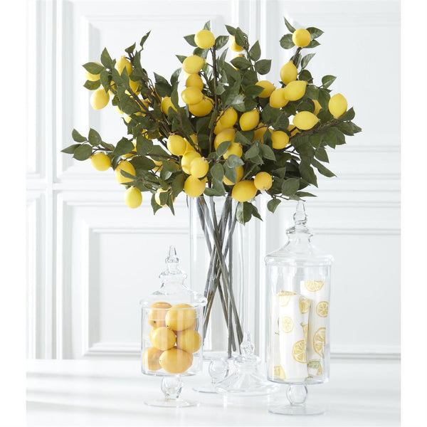 Clear Glass Cylinder Apothecary Jars
