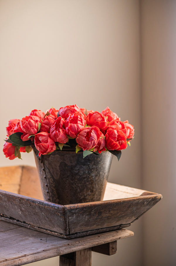 12" Coral Real Touch Peony Bundle (6 Stem)
