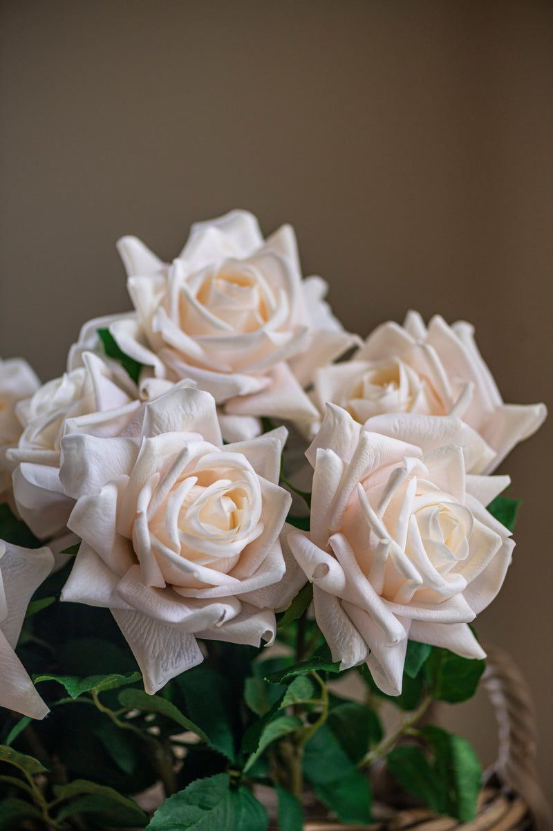 25" Cream White Real Touch Duchess Rose Stem