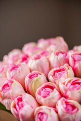 13" Pink Real Touch Tulip Bundle (6 Stem)