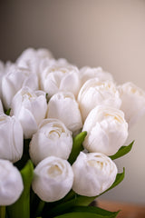 13" White Real Touch Tulip Bundle (6 Stem)