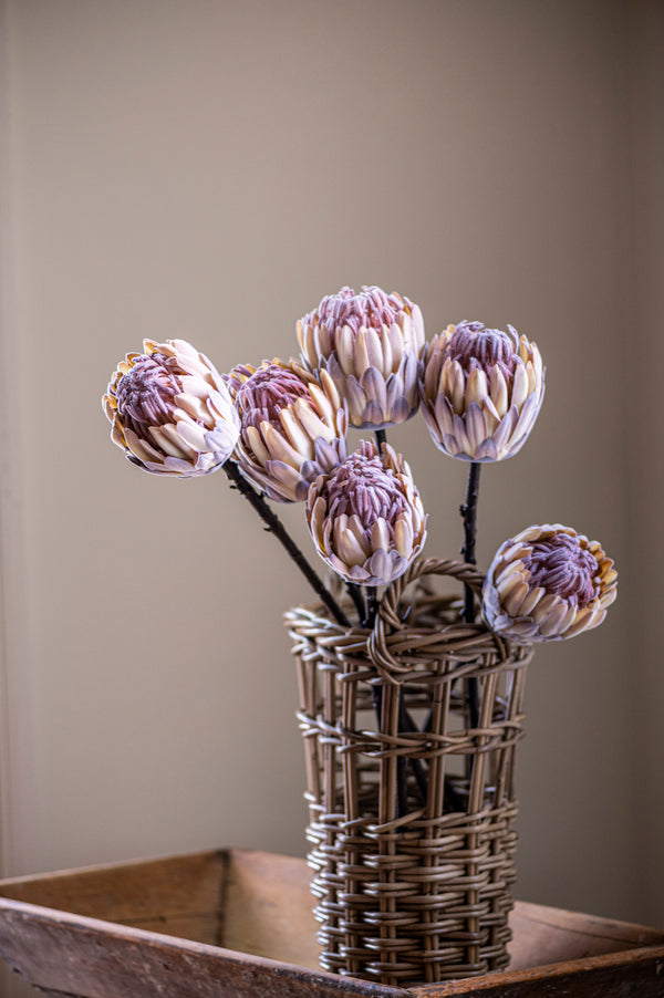 26" Flocked Cream King Protea Stem