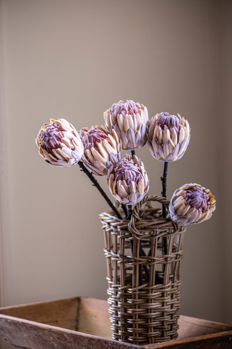 26" Flocked Cream King Protea Stem