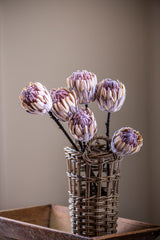 26" Flocked Cream King Protea Stem
