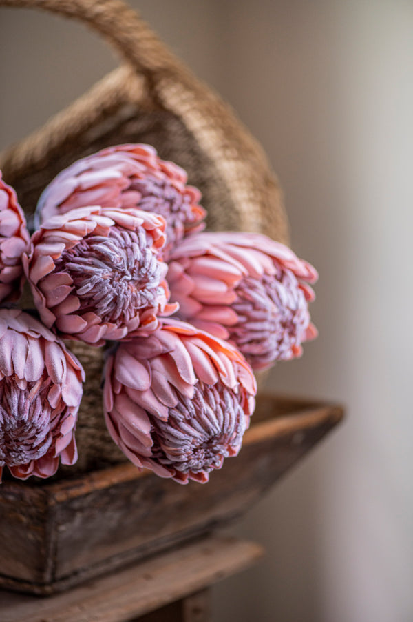 26" Flocked Pink King Protea Stem