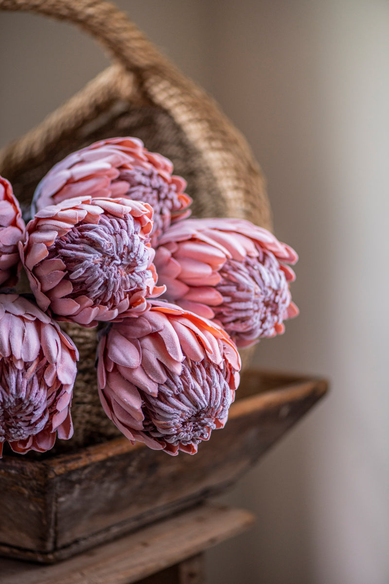 26" Flocked Pink King Protea Stem
