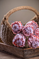 26" Flocked Pink King Protea Stem
