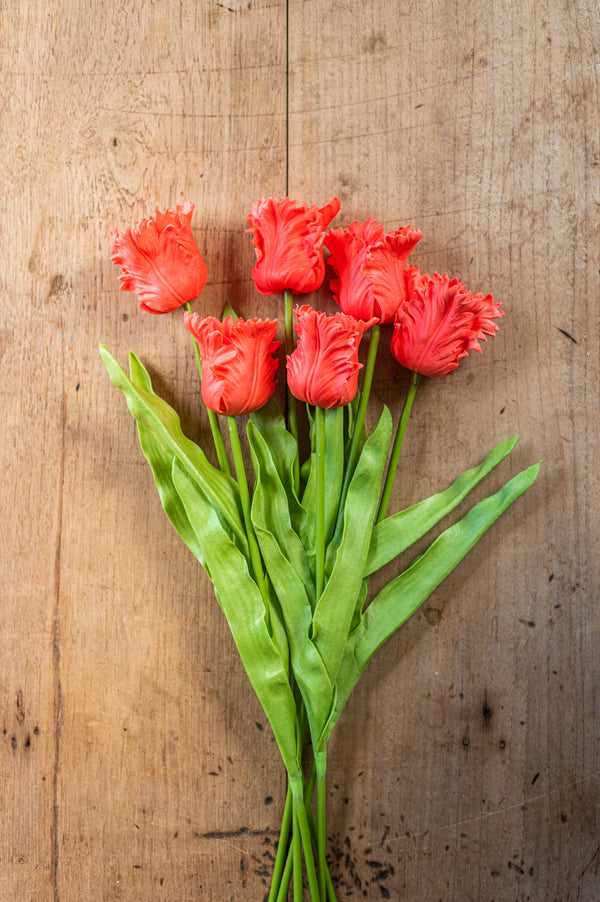 23" Coral Real Touch Parrot Tulip