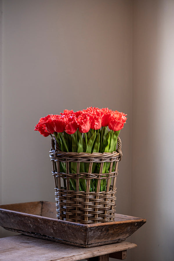 23" Coral Real Touch Parrot Tulip