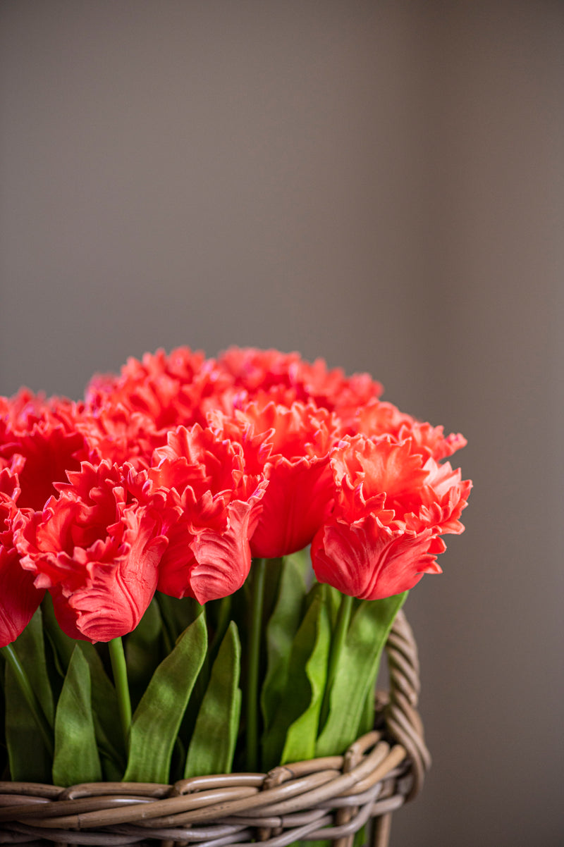 23" Coral Real Touch Parrot Tulip