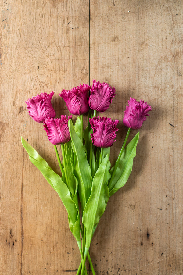 23" Fuchsia Real Touch Parrot Tulip