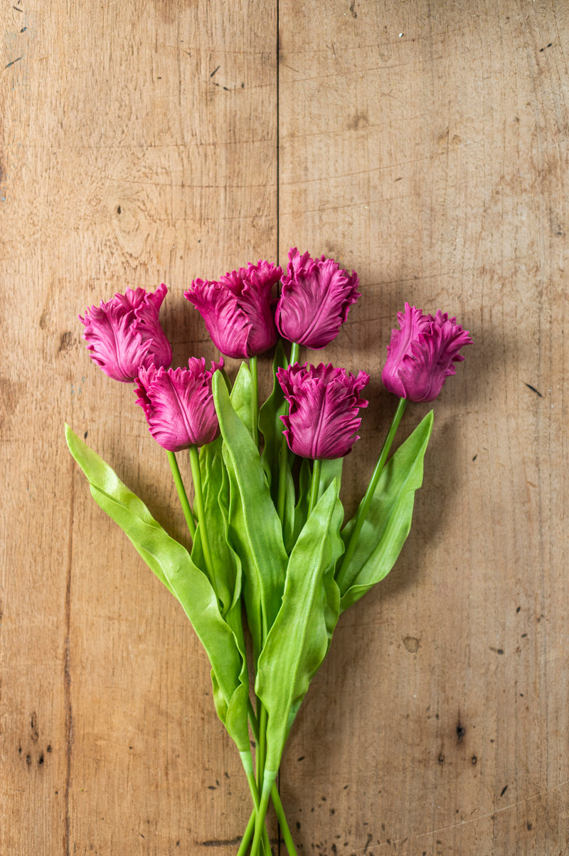 23" Fuchsia Real Touch Parrot Tulip