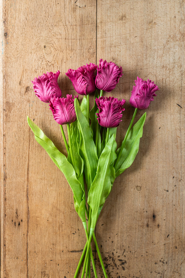 23" Fuchsia Real Touch Parrot Tulip